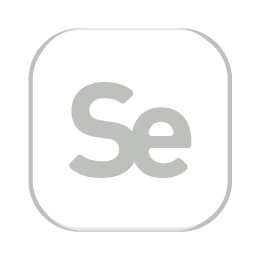 Se-icono3.1